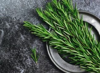 5 Long-lasting Fragrant Leaves for a Pleasant Scent: Every woman should use them daily, saving money on perfume