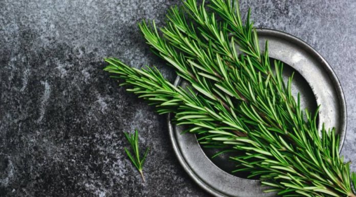 5 Long-lasting Fragrant Leaves for a Pleasant Scent: Every woman should use them daily, saving money on perfume