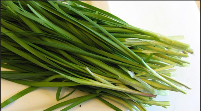 3 Protein-Rich Vegetables: Cheaper Than Meat, as Good as Ginseng and Bird’s Nest