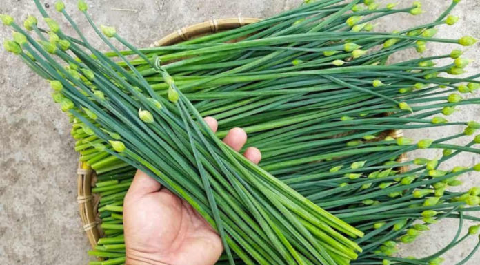 Fried eggs just need cooking oil and a pinch of salt: Learn from the Japanese to add this leaf for an extra tasty twist, and it also prevents K