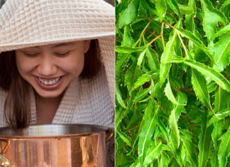 The multi-purpose plant leaves that heal and beautify from skin to body shape that everyone should try