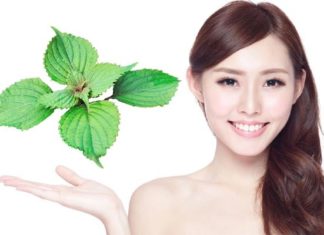 Get Rid of Hyperpigmentation in No Time with a Common Leaf from Your Garden