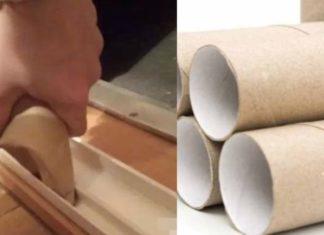 Don’t waste toilet paper cores, they have countless uses that everyone needs