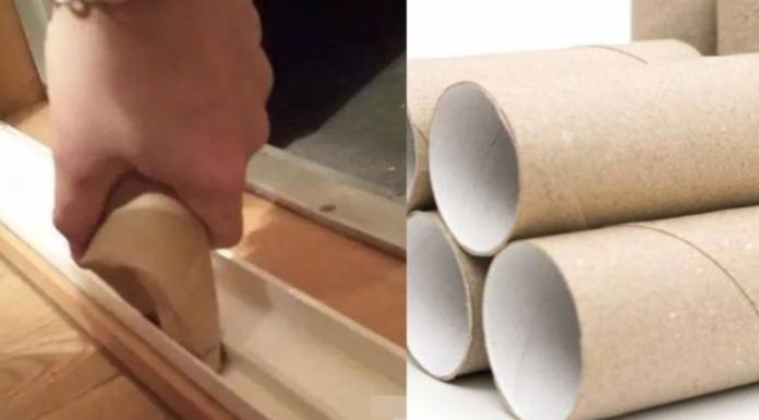Don’t waste toilet paper cores, they have countless uses that everyone needs