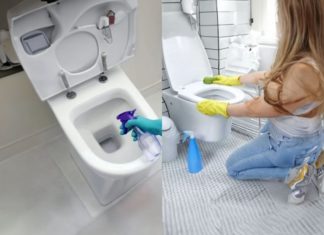 Unexpected Benefits of Mixing White Vinegar with Eucalyptus Oil – Essential for Every Home, Saving Money and Ensuring Safety