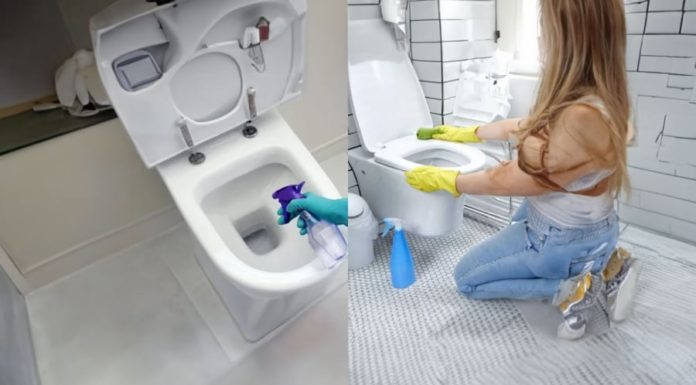 Unexpected Benefits of Mixing White Vinegar with Eucalyptus Oil – Essential for Every Home, Saving Money and Ensuring Safety