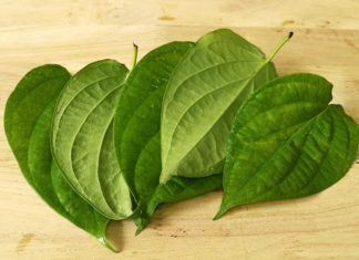 Tips: Get Rid of Plaque on Teeth and Treat Gum Inflammation with Betel Leaf