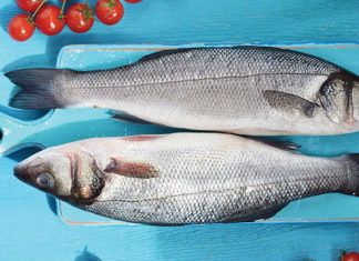 5 Types of Fish on the ‘Blacklist’ That can be Harmful to Children’s Bodies