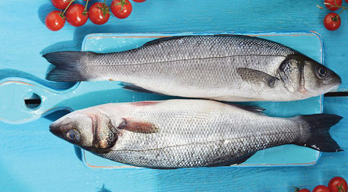 5 Types of Fish on the ‘Blacklist’ That can be Harmful to Children’s Bodies