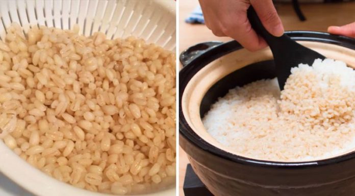 Famous Japanese rice variety supports effective weight loss and organ fat reduction