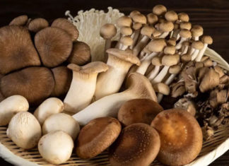 5 High-Protein Vegetables that are as Nutritious as Fish: Ladies, Eat without Worrying about Weight Gain