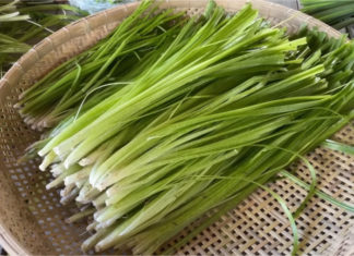 3 Must-Buy Natural Leafy Greens: Packed with Nutrients