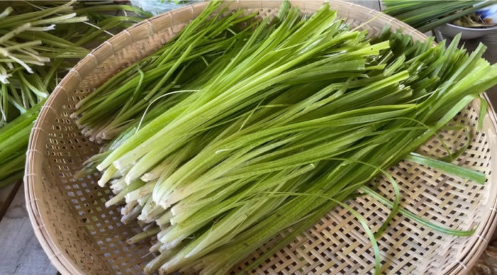 3 Must-Buy Natural Leafy Greens: Packed with Nutrients