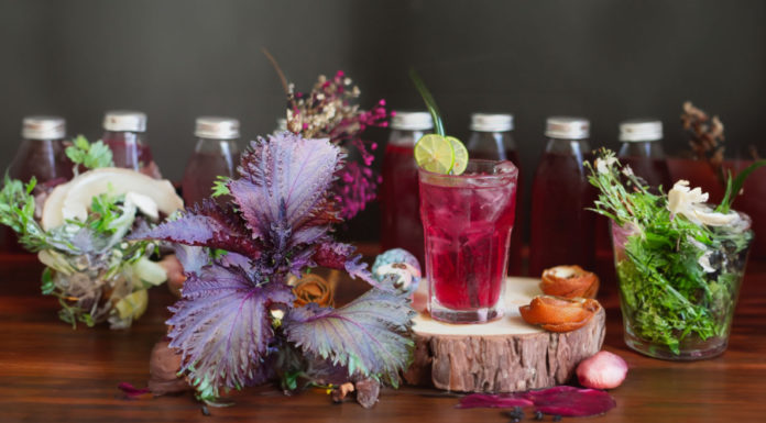 Should You Replace Filtered Water with Thyme Water for 8 Benefits to Your Body?