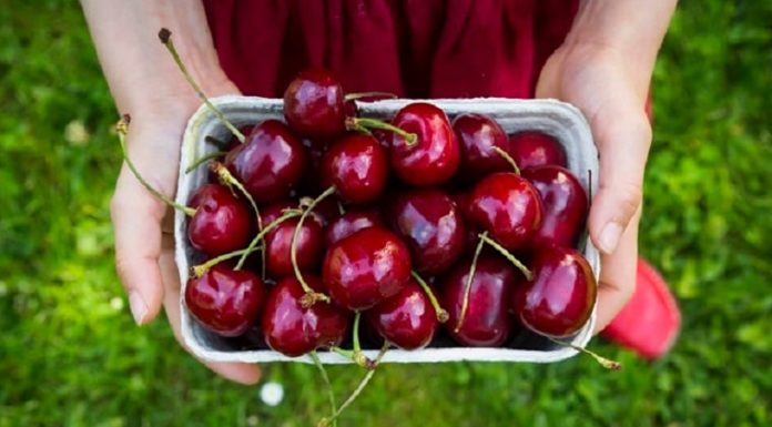 Expensive fruit that is 4 times the price of pork and has a sweet taste but helps lower blood sugar levels