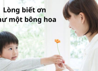 Early Learning: Peace of Mind for Parents