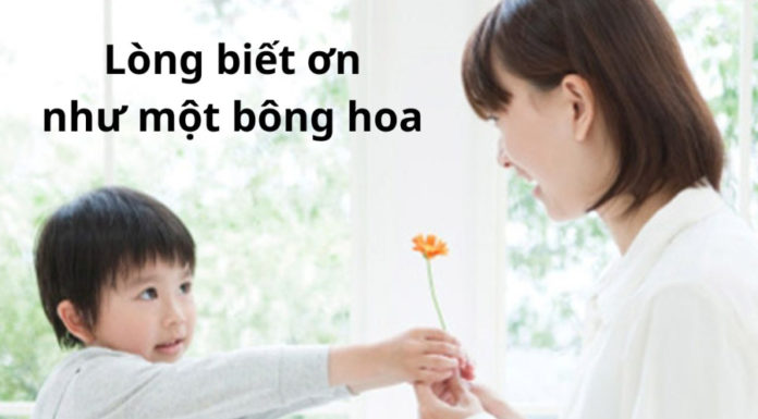 Early Learning: Peace of Mind for Parents