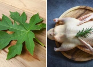 Remove Duck Feathers with Just a Grasp of this Leaf: Clean Bamboo Shoots and Effectively Eliminate Odor