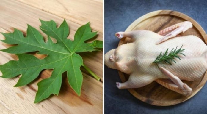 Remove Duck Feathers with Just a Grasp of this Leaf: Clean Bamboo Shoots and Effectively Eliminate Odor