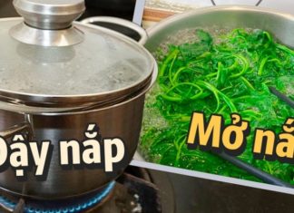 Enhance your vegetable boil with this: Fresh, vibrant, and full of flavor, preserving all the nutrients.