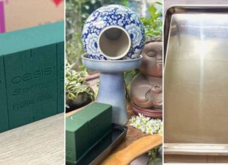 The Ultimate Guide to Planting the Hummingbird Daisy Fountain: Captivating Beauty, This Year’s Hottest Trend