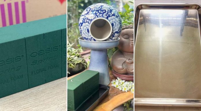 The Ultimate Guide to Planting the Hummingbird Daisy Fountain: Captivating Beauty, This Year’s Hottest Trend