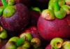 Choosing the Best and Juiciest Mangosteen: A Guide for the Season