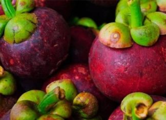 Choosing the Best and Juiciest Mangosteen: A Guide for the Season