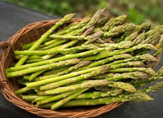 The Honest Vegetable Seller: 5 Affordable and Nutrient-rich Pesticide-free Greens