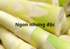 Fresh bamboo shoots are delicious but extremely toxic to these groups of people, eating them can be harmful to health.