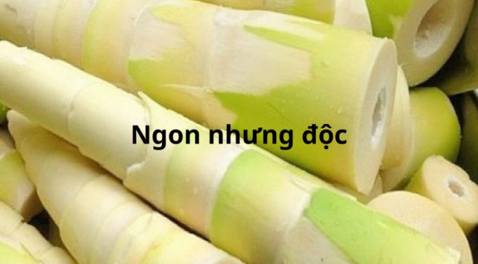 Fresh bamboo shoots are delicious but extremely toxic to these groups of people, eating them can be harmful to health.