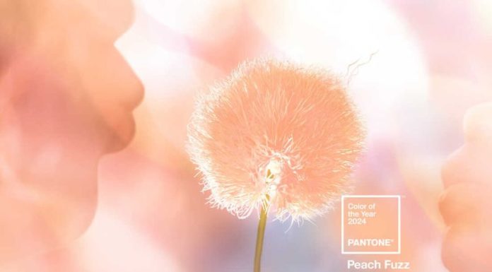 Color of 2024: Persimmon shade evokes a mysterious allure, warmth