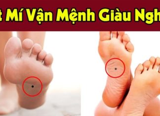 3 Moles on a Child’s Body: The Key to Future Success