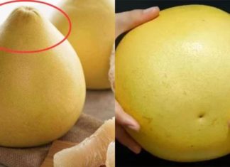 Which is better, buying sharp or round pomelos when going to the market?