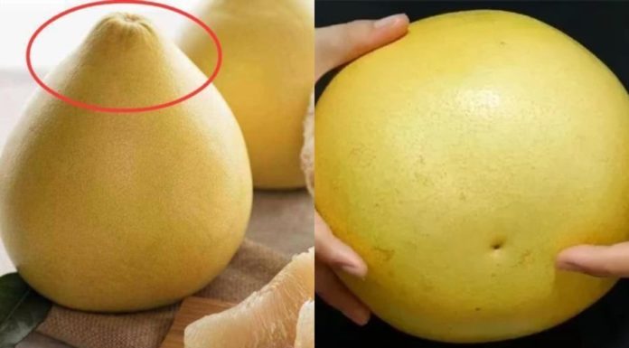 Which is better, buying sharp or round pomelos when going to the market?