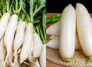 5 Tips to Remember When Buying Turnips: All Turnips Are Tasty and Not Hollow