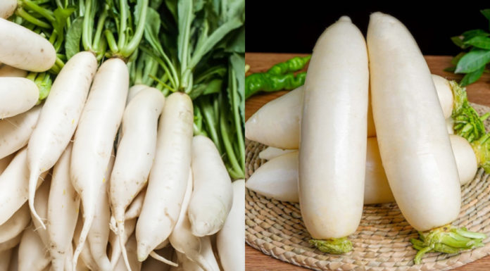 5 Tips to Remember When Buying Turnips: All Turnips Are Tasty and Not Hollow