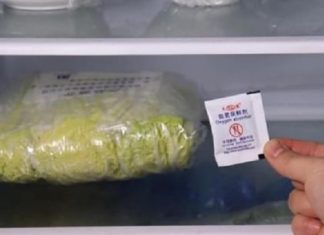 Ditching other dehumidifiers is no different than “throwing money out the window”: There’s a smart, cost-effective way to do it