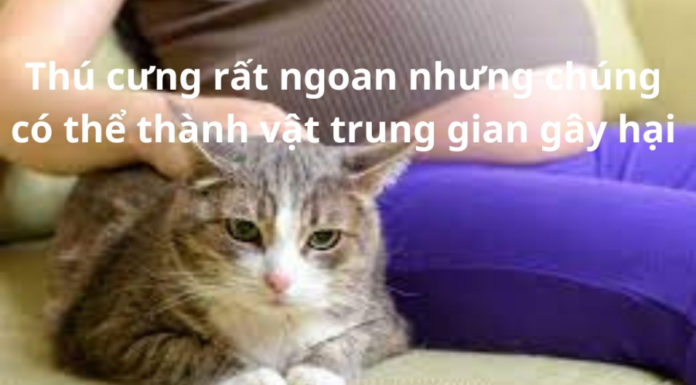 Playing with Dogs and Cats During Pregnancy: Beware of Miscarriage and Birth Defects