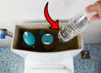 Save Money with this Simple Tip: Put Plastic Bottles in Your Toilet Tank