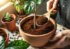 The Magic of Used Coffee Grounds: Unlocking a World of Valuable Uses