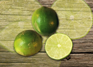 Tips: Get rid of unpleasant odors from stainless steel, hands, and plastic using only lemons