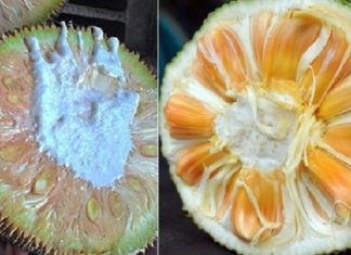 Tips for selecting ripe, flavorful, chemical-free jackfruit