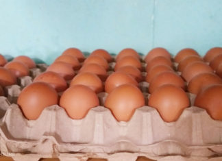 Super Nutritious Breakfast, Packed with Vitamin A, E, for Only 10,000 VND!