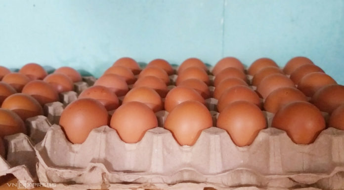 Super Nutritious Breakfast, Packed with Vitamin A, E, for Only 10,000 VND!