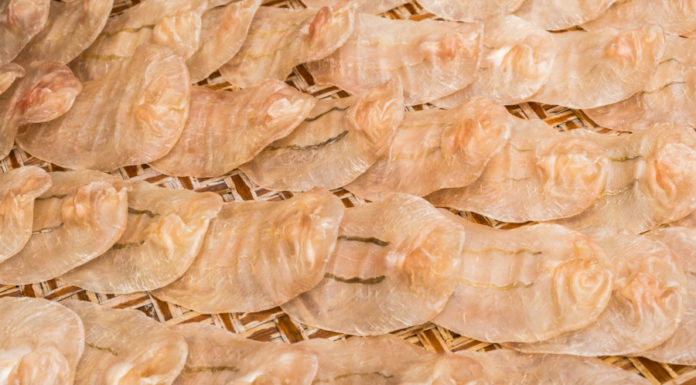 The ancient fish part that used to be discarded due to its unpleasant smell is now a delicacy sold at 9 million VND/kg.