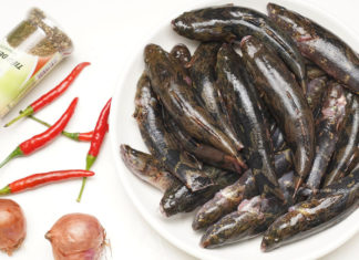 Fish as a Natural Remedy for Overall Health Improvement and Treatment of Various Ailments