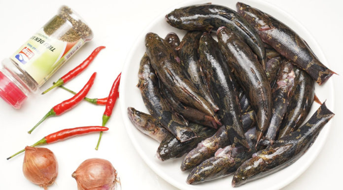 Fish as a Natural Remedy for Overall Health Improvement and Treatment of Various Ailments