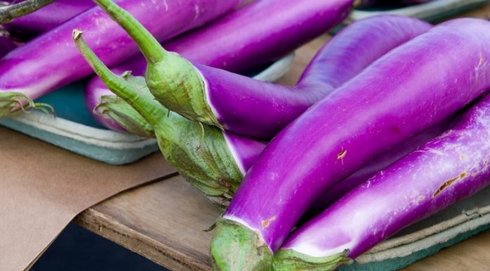 The fruit that is the “king of vegetables” helps with digestion, boosts blood circulation, and tastes better than meat.