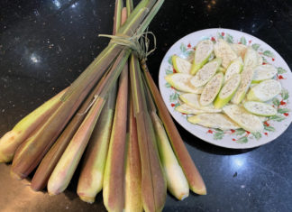 “Wild root vegetable now turns into a delicacy known as ‘water ginseng’, cooking it this way is delicious”